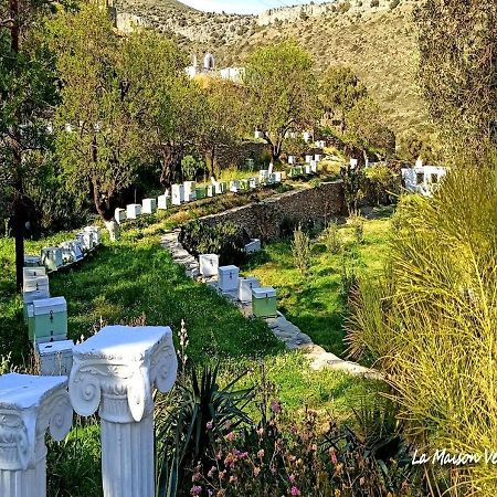 La Maison Vert Amande Spathi  Dış mekan fotoğraf