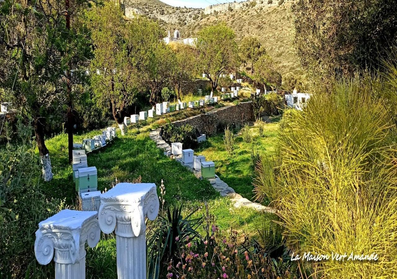 La Maison Vert Amande Spathi  Dış mekan fotoğraf
