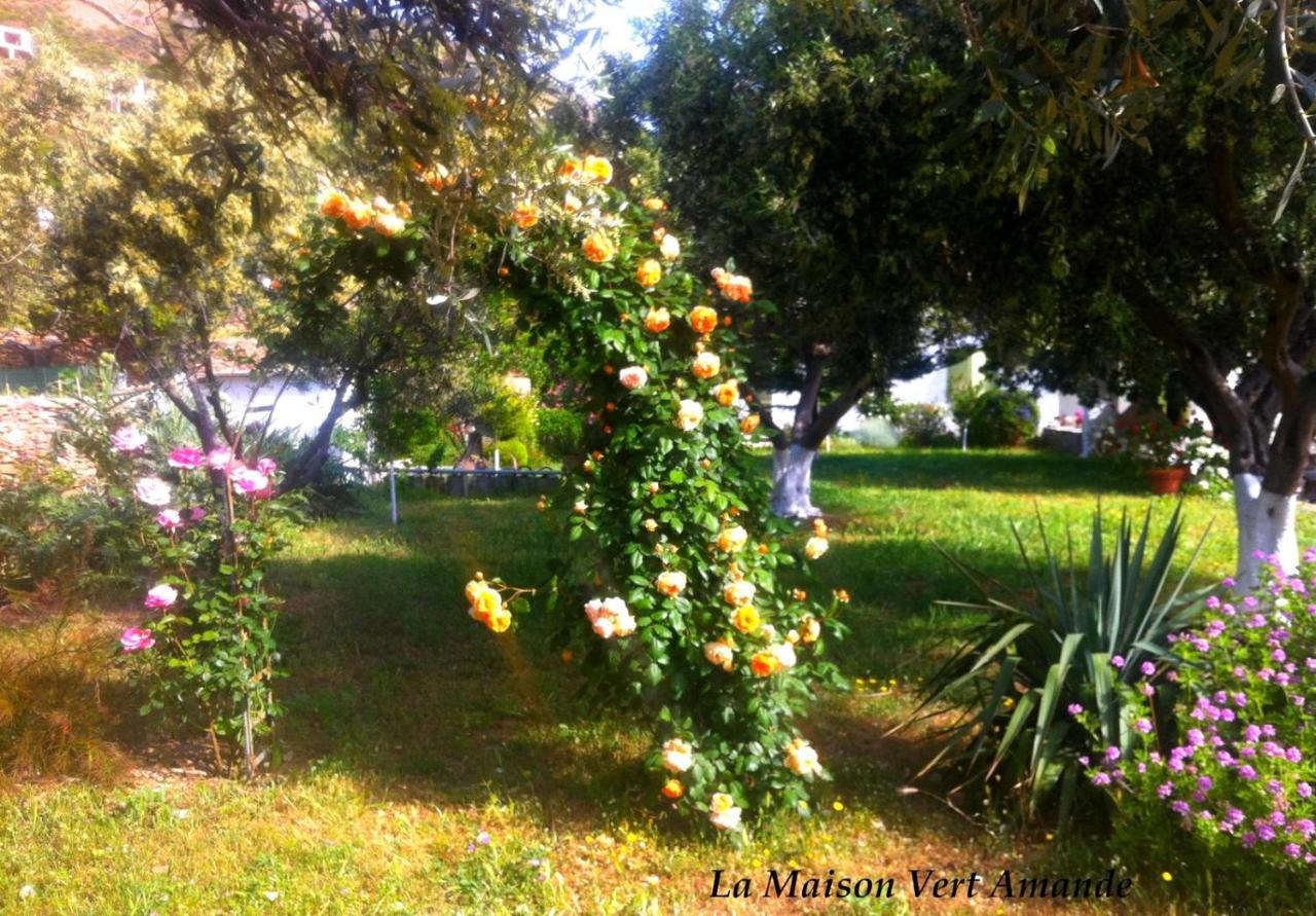 La Maison Vert Amande Spathi  Dış mekan fotoğraf