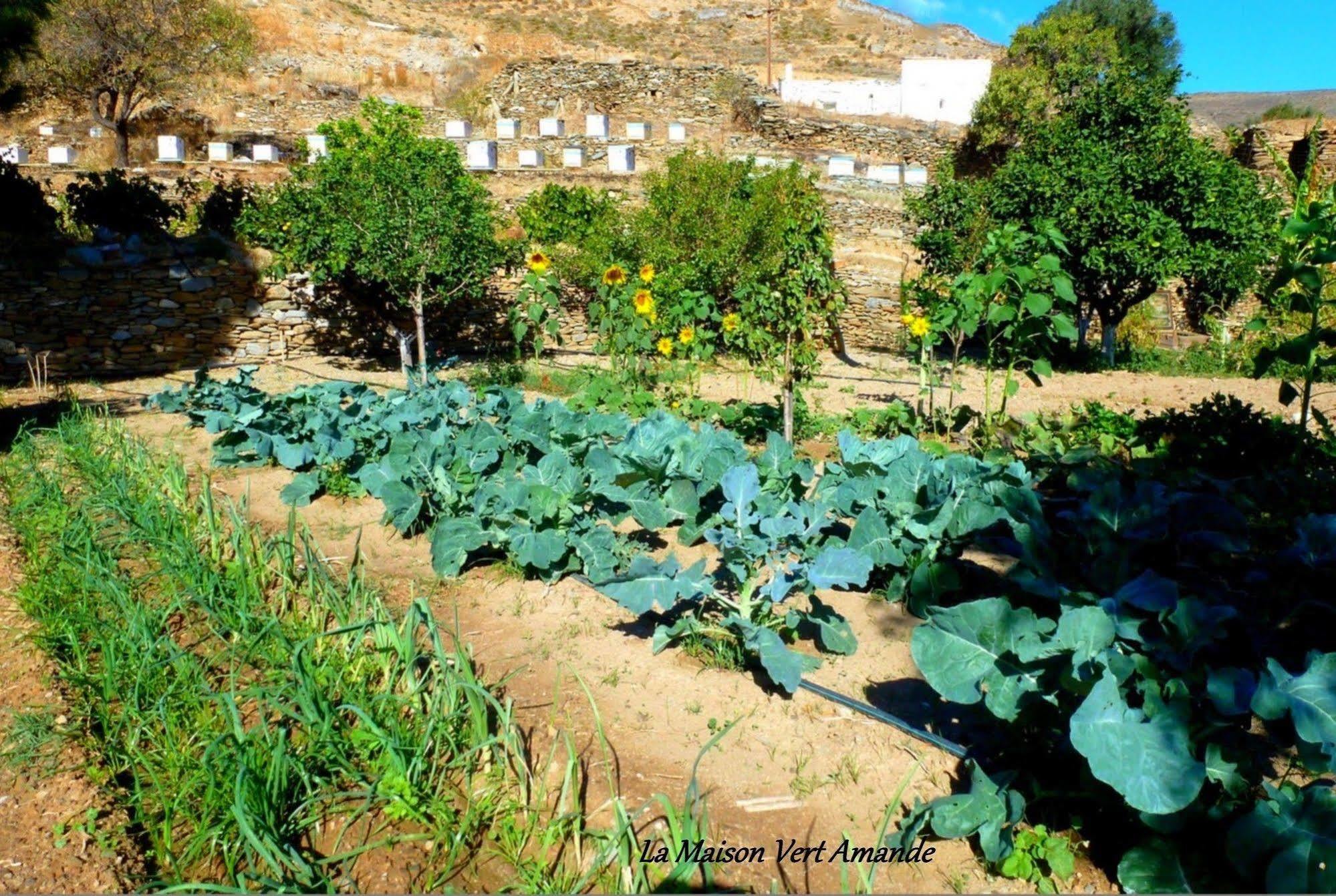 La Maison Vert Amande Spathi  Dış mekan fotoğraf
